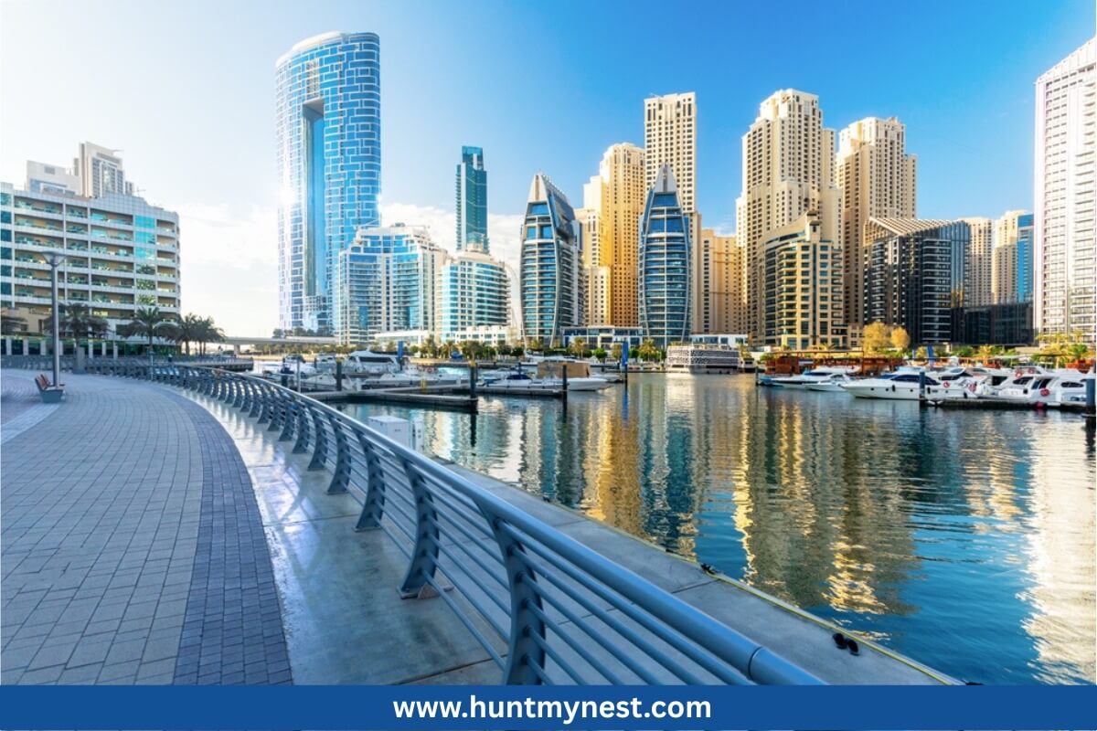 Dubai Marina Area Guide: Location, Lifestyle, Amenities & Living